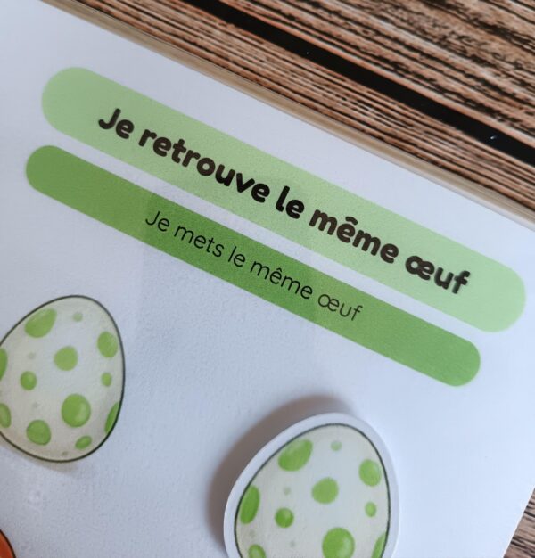 Livret : Les dinosaures