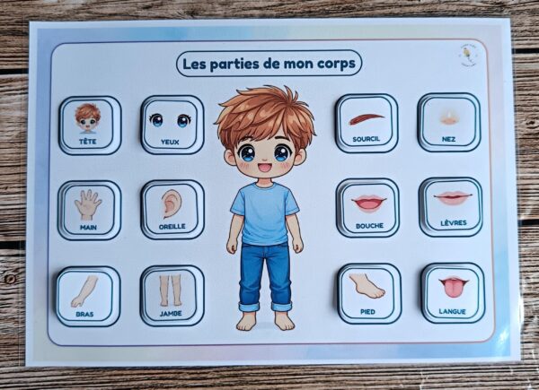 Apprentissages quotidien_Parties du corps_Photos_parties-du-corps-04 Parties du corps