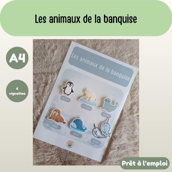 Fiche A4 - Animaux de la banquise