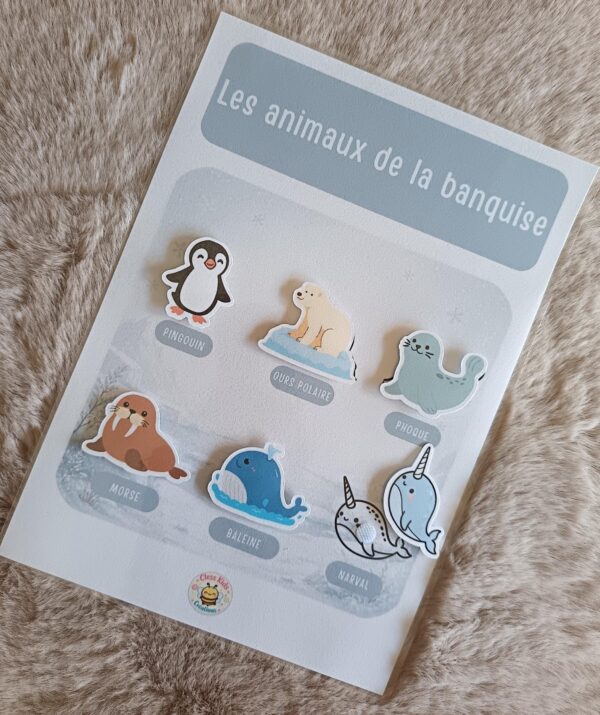 Fiche A4 - Animaux de la banquise