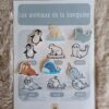 Fiche A4 - Animaux de la banquise