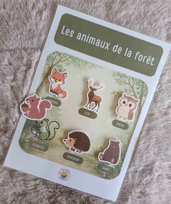 Fiches A4_Fiche A4 - Animaux de la forêt_Photos_fiche-a4-animaux-foret-02 Fiche A4 - Animaux de la forêt