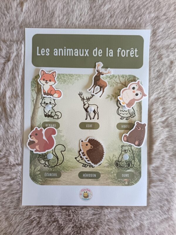 Fiches A4_Fiche A4 - Animaux de la forêt_Photos_fiche-a4-animaux-foret-03 Fiche A4 - Animaux de la forêt