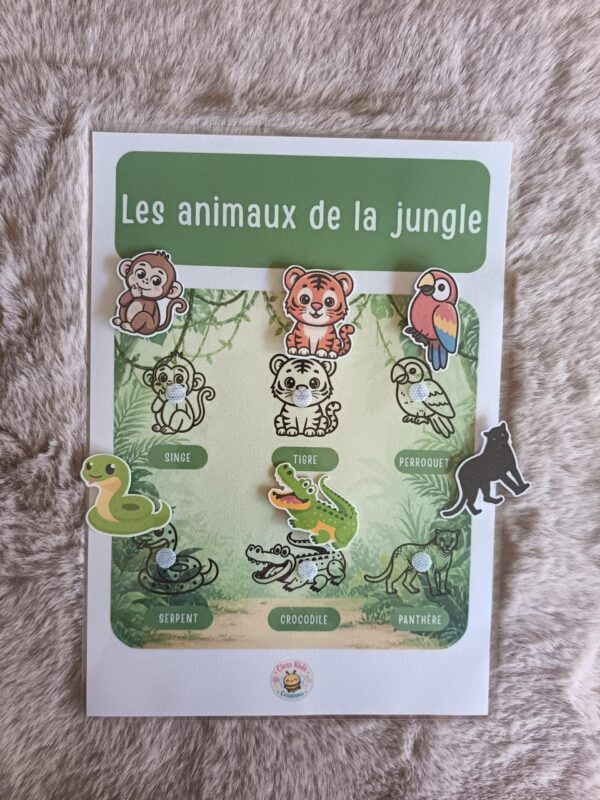 Fiches A4_Fiche A4 - Animaux de la jungle_Photos_fiche-a4-animaux-jungle-03 Fiche A4 - Animaux de la jungle