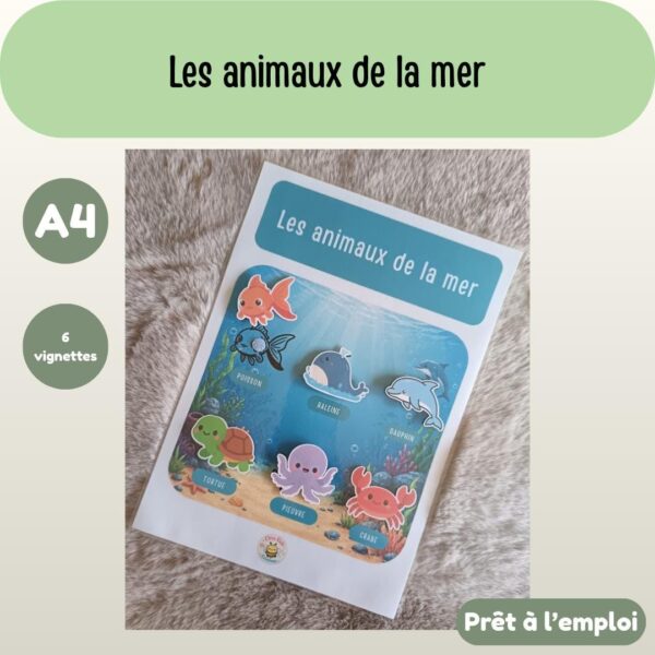Fiches A4_Fiche A4 - Animaux de la mer_Photos_fiche-a4-animaux-mer-01 Fiche A4 - Animaux de la mer