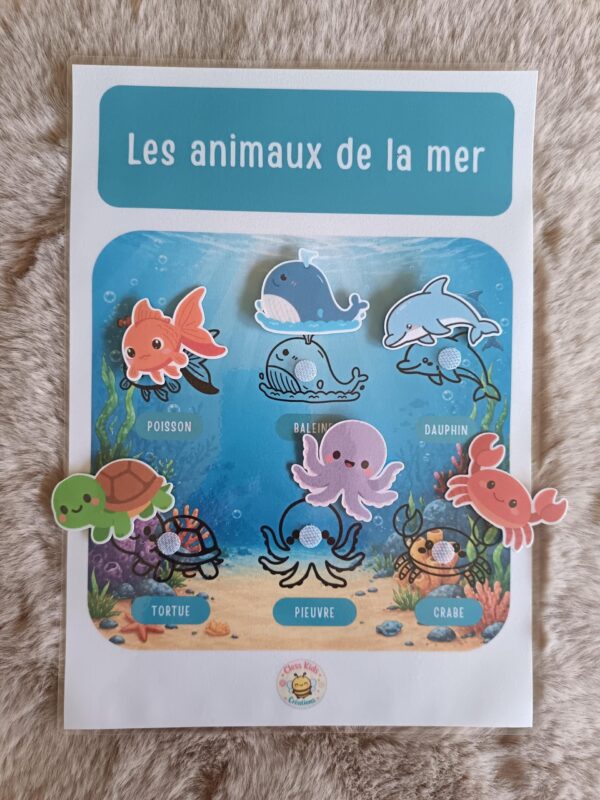 Fiches A4_Fiche A4 - Animaux de la mer_Photos_fiche-a4-animaux-mer-02 Fiche A4 - Animaux de la mer