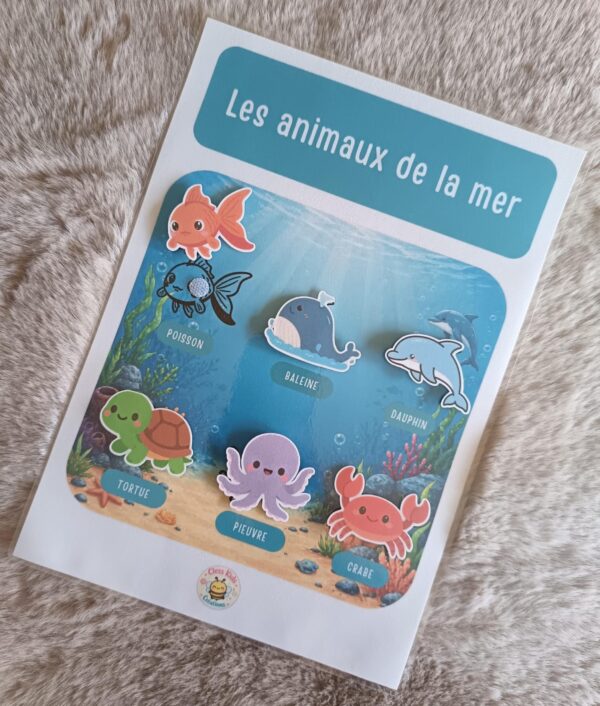 Fiches A4_Fiche A4 - Animaux de la mer_Photos_fiche-a4-animaux-mer-03 Fiche A4 - Animaux de la mer