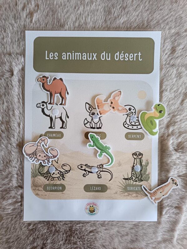 Fiches A4_Fiche A4 - Animaux du désert_Photos_fiche-a4-animaux-desert-03 Fiche A4 - Animaux du désert
