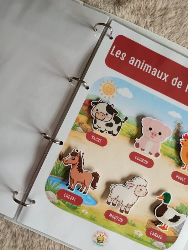 Petit ou grand classeur - Les activités CKC