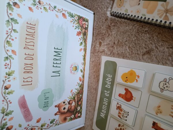 Box n°1 : La ferme