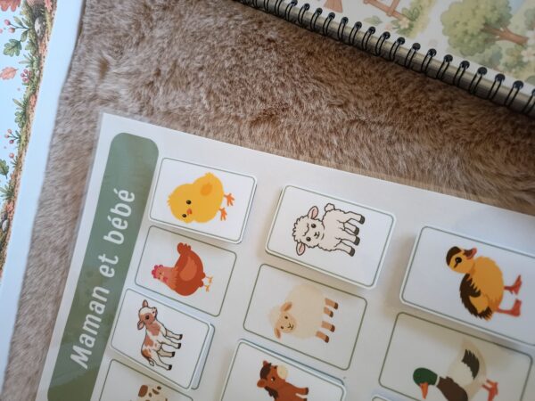 Box n°1 : La ferme