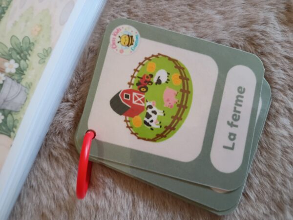 Box n°1 : La ferme