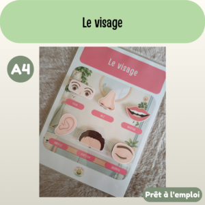 Fiche A4 - Le visage