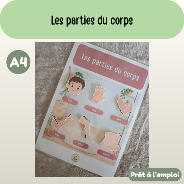 Présentation (43) Fiche A4 - Les parties du corps