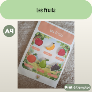 Fiche A4 - Les fruits