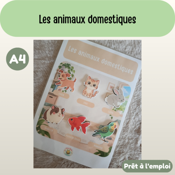 Présentation (52) Fiche A4 - Les animaux domestiques