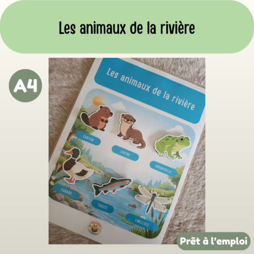 Fiche A4 - Les animaux de la rivière