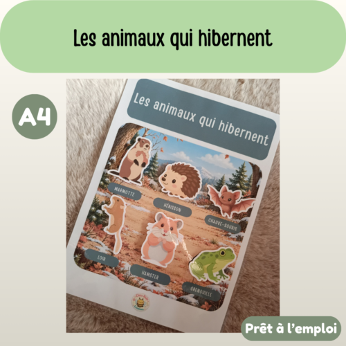 Présentation (60) Fiche A4 - Les animaux qui hibernent