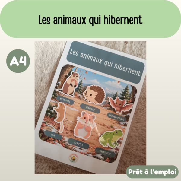 Présentation (60) Fiche A4 - Les animaux qui hibernent