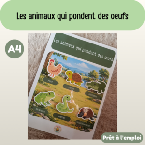 Fiche A4 - Les animaux qui pondent des oeufs