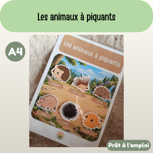 Présentation (62) Fiche A4 - Les animaux à piquants