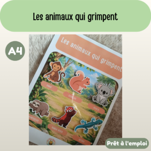 Fiche A4 - Les animaux qui grimpent