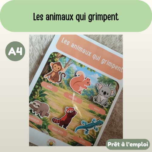 Présentation (63) Fiche A4 - Les animaux qui grimpent