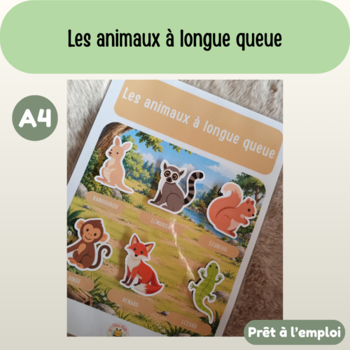 Présentation (64) Fiche A4 - Les animaux à longue queue