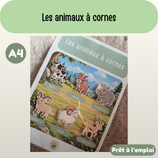Fiche A4 - Les animaux à cornes