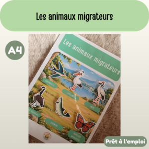 Fiche A4 - Les animaux migrateurs