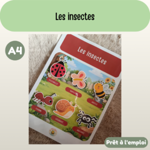 Fiche A4 - Les insectes