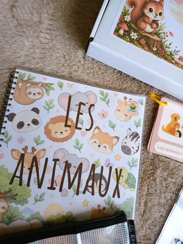 IMG_20261007_094323822 Box n°2 : Les animaux