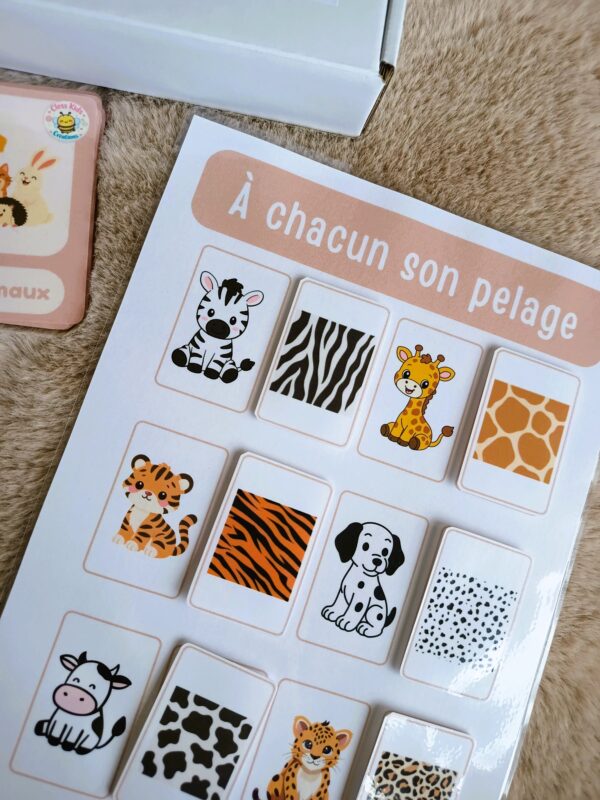 IMG_20261007_094330914 Box n°2 : Les animaux