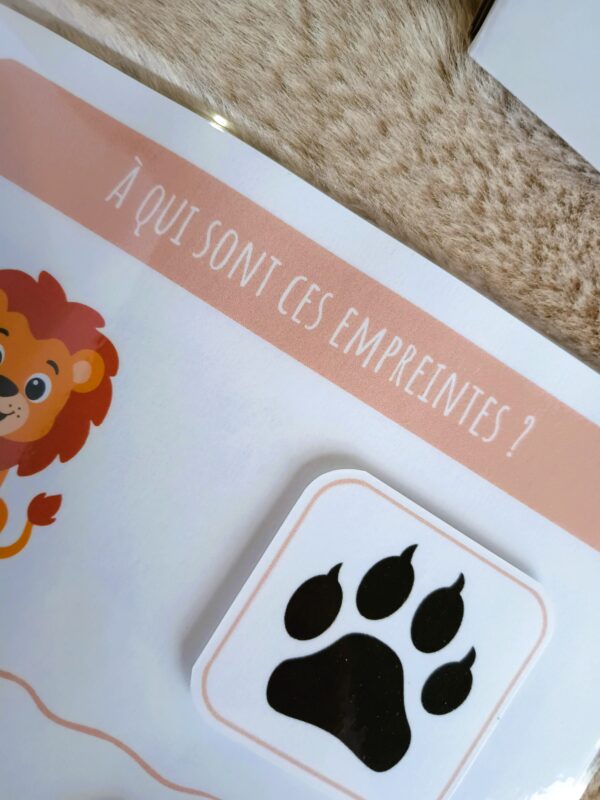 IMG_20261007_094340197 Box n°2 : Les animaux