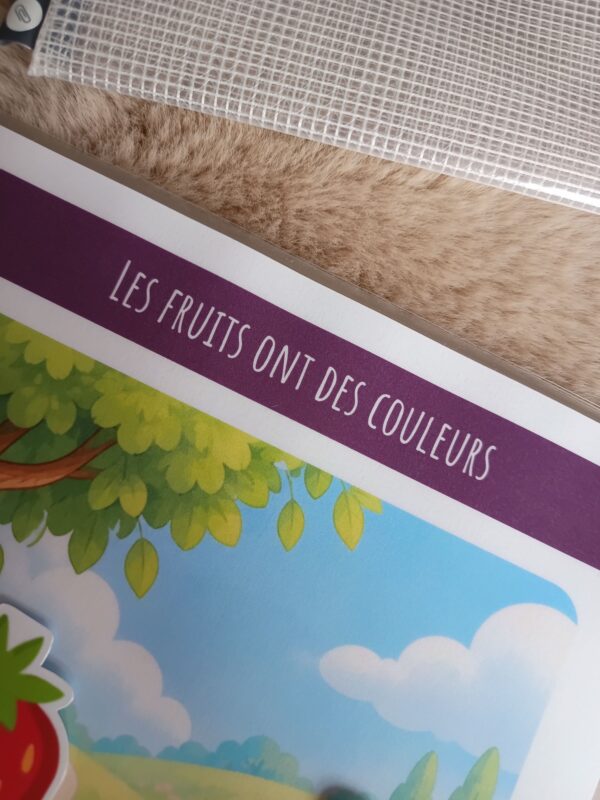 Box n°3 : Les couleurs